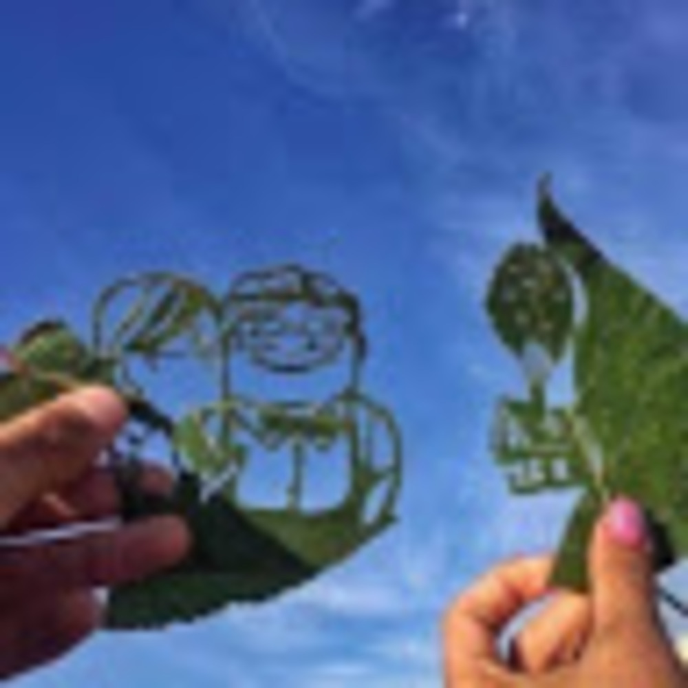 Meet your Posher, Alejadra